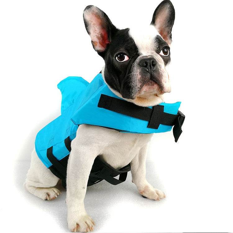Pampered Pets Collection Timothy Lane