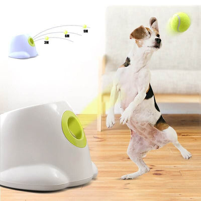 Dog pet Tennis Launcher - Timothy Lane