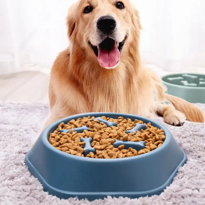 Slow Feeder Pet Bowl – Anti-Gulping, Interactive Feeding Dish for Dogs & Cats - Timothy Lane