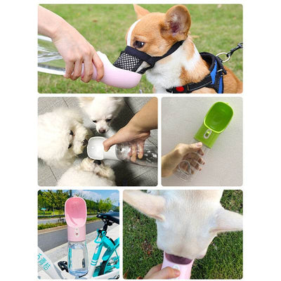 Pet Dog Water Bottle Feeder - Timothy Lane