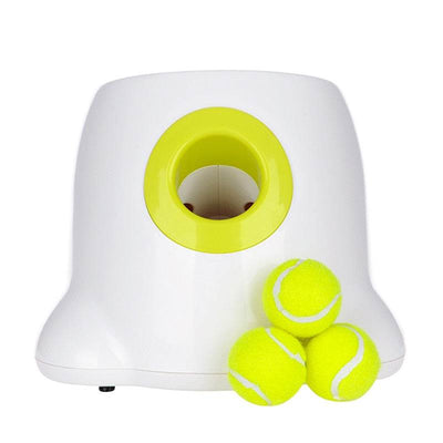 Dog pet Tennis Launcher - Timothy Lane
